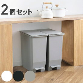 【レビュー特典付き】 ゴミ箱 35L SOLOW ソロウ 同色2個セット ペダルオープンスリム （ ごみ箱 35リットル 同色 2個 ペダル式 ふた付き 両開き 分別 棚下 スリム キッチン カウンター下 角型 高さ揃う シンプル おしゃれ ）【39ショップ】