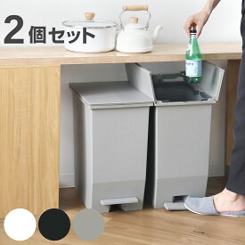 【レビュー特典付き】 ゴミ箱 45L SOLOW ソロウ 同色2個セット ペダルオープンスリム （ ごみ箱 45リットル 同色 2個 ペダル式 ふた付き 両開き 分別 棚下 スリム キッチン カウンター下 角型 高さ揃う シンプル おしゃれ ）【39ショップ】