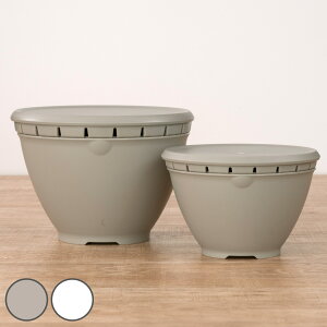 ザル・ボウル 6点セット SOLOW ボール・コランダーセット フタ付き Sサイズ Lサイズ ( 食洗機対応 電子レンジ対応 ボウル ザル コランダー 深型 耐熱ボウル ボール ざる 水切りザル 水切り 湯