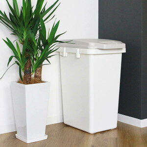 S~ 33L 47L 70L nhpbLy[ pbLt i ݔ hL pbL bNt _Xg{bNX O A ӂt e L R ɂ  Lb` S~  