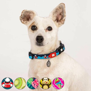  ^ S }bNX[[ qD  i p ybgp X}[gID U  hbO y v   킢 fW^qD qh~ ybg ybgpi 28`45cm