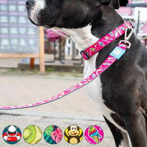 [h  S }bNX[[ ^ 1.2m i p p[h U ybgp  hbO y  킢 ȒP _炩 Sy K @\ ybg ybgpi jy39Vb