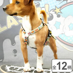 n[lX ^ ^ S }bNX[[  i p pn[lX  y Eɂ ɂ 킢  ȒP _炩 Sy K @\ ybg U ybgp