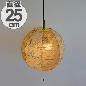 y_gCg a  cCoii 1 25cm i  Ɩ V aƖ Ɩ 1y_g LED dC y_gƖ CeA V[OCg 1 j y39Vbvz