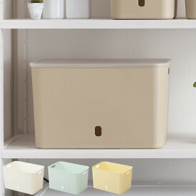 収納ケース ナチュラ インボックス ソフト ワイドL 幅38×奥行26×高さ24cm （ 収納ボックス ケース ボックス 収納 小物入れ 小物収納 持ち手 取っ手 付き 小物ケース カラーボックス インナーボックス 深型 フル 日本製 ）【39ショップ】