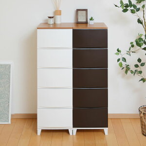 `FXg [XVF[hؓV 5i 34×s42×107.5cm i [P[X ߑP[X [ vX`bN o rO`FXg { rt rO[ X ^X N[[