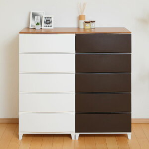 `FXg [XVF[hؓV 5i 54×s42×107.5cm i [P[X ߑP[X [ vX`bN o rO`FXg { rt rO[ ^X N[[bg 