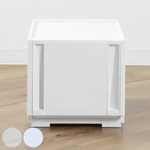 収納ケース コンビネーションケース スリムM 2624 幅26×奥行44.7×高さ24.1cm ( 収納ボックス 衣装ケース 引き出し 約 奥行45 収納 クローゼット 積み重ね 衣類収納 プラスチック ホワイト 洋服