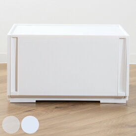 収納ケース 同色2個セット コンビネーションケース ワイドL 5230 幅52×奥行44.7×高さ29.9cm （ 収納ボックス 引き出し 約 奥行45 収納 クローゼット 日本製 積み重ね 衣装ケース 衣類収納 プラスチック ホワイト ケース おしゃれ ）【39ショップ】