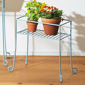 v^[X^h St XNGAK[fX^h S u[ i v^[ X^h RRn t[X^h K[fjOpi ԑ u |  XNGA F 5 6 4kg v