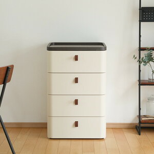 ߑP[X vX`bN`FXg ChA[ 4i 54.5×s41×87.5cm i [P[X [ o Bg[t { i ߗގ[ rO[ [{bNX vX`