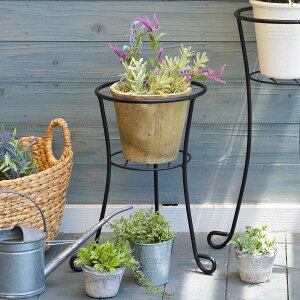 v^[X^h t[{[ 42cm i t[X^h ԑ  t[ X^h X`[ AؔX^h u |  v^[  jy39Vbvz