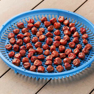 ChoXPbg ی^ a50cm i  oXPbg JS   U  p   vX`bN  Ђ  hCt[c ~ ~   ʕ ۑ j 