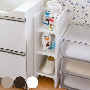 bN SM 22.6×s38.8×24.9cm e-bN ܎[ F4Zbg i [bN ybg{g [ Lb`XgbJ[ Ԏ[ ybg{g[ ςݏd vX`bN Lb`