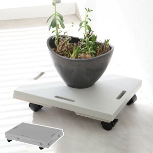  Ał NS Ch LX^[t ƒp 23.6cm i  ~j { z[L[ L[ L[ ^ u ړ ^ L[J[g ƒp xbh \