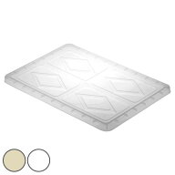 フタ フードテナー No.10 No.20 専用 もち箱 （ 餅箱 餅ばこ もちばこ フードコンテナー 保存容器 プラス…