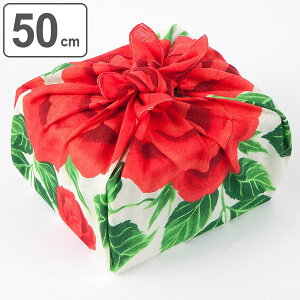 C~ 50cm R ӂ낵 o  i ٓ 50Z`   C~  ٓ ӂ ٓ v`Mtg j z A bsO j j j  o