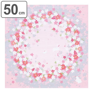 C~ ٓ 50cm ȏӂ낵 ̗ i C~ ӂ낵 ٓ 50Z` `NX a  { ٓ  ٓ C~ a yY }`NX ^yXg[ j