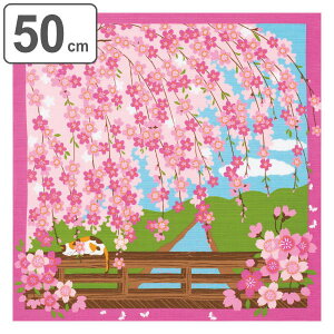 C~ `NX ٓ 50cm  OєL݂̖L ӂ낵 ݂̂Ԍ i C~ ӂ낵 ٓ 50Z` a  { lR ٓ  ٓ C~ a yY