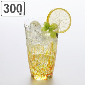 タンブラー グラス 300ml 水の彩 陽の彩 クリスタルガラス ファインクリスタル ガラス コップ 日本製 （ 食洗機対応 ガラスコップ カップ ガラス製 カクテルグラス ロング ビールグラス ビア