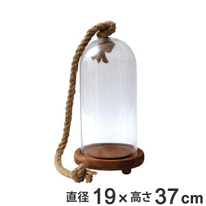 K[f I[ig KX 37cm i K[fG CeA G K[fjO  t[AW ϗtA A hCt[ vU[uht[   CeAG 