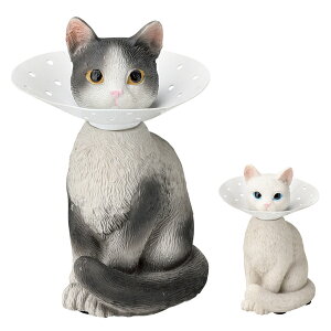 ANZT[X^h sAXz_[ L [ }Olbg n` i ANZT[P[X ANZT[[ sAX[ ANZT[nK[ WG[nK[ w sAX lbN