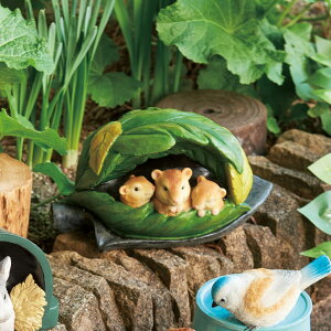 K[fI[ig ˂݂ƃVx \[[I[ig ZT[ LED i  K[fCg IuWF  I[ig \[[Cg K[fIuWF Cg ˂ l