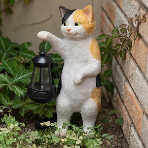 K[fI[ig CAT~P \[[I[ig ZT[ LED i  K[fCg IuWF  I[ig \[[Cg K[fIuWF Cg lR L j y39Vb