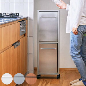 ゴミ箱 40L 20L×2分別 トラッシュダブル ( ごみ箱 20L 2分別 40リットル スリム フラップ式 おしゃれ インテリア 分別 ふた付き 袋 見えない ゴミ箱に見えない キャスター付き 家具 家具調 省ス