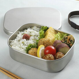 ランチボックス 700ml TSUBAME ステンレス 弁当箱 M 日本製 （ お弁当箱 女子 男子 大人 子供 1段 一段 ステンレス製 パッキン付き 弁当 お弁当 ベルト付き ランチベルト 1段弁当 ）【39ショップ】