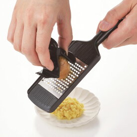 おろし器 プログレード スピード 薬味おろし （ おろし金 しょうがおろし 薬味用おろし器 おろし 生姜おろし 生姜オロシ ショウガおろし ミニ ステンレス 調理小道具 下ごしらえ用品 ）【39ショップ】