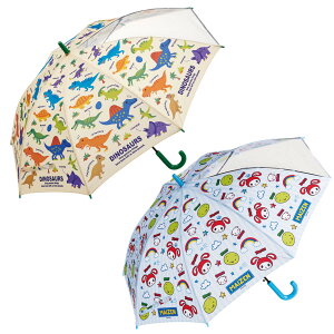 P WvP 55cm i fBmTEX  ܂VX^[Y qp rj[P JP JT   y g₷ v OXt@Co[ Wv 55 Z` j y39Vbvz