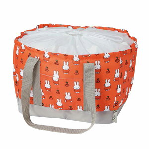 GRobO WJSpۗobO В ~btB[ i ۗobO ۗ g[g ۉ }`L N[[obO N[[g[gobO e obO ܂肽 LN^[ 킢 Vb