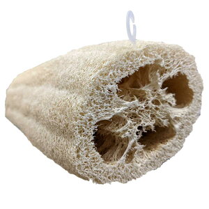 ւ {fB[p i VRւ w`} {fBX|W w`}X|W oXpi w`}킵 ̐ C {fB[X|W X|W j y39Vbvz