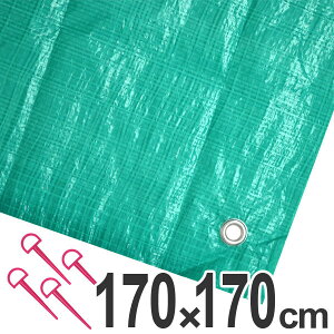 W[V[g W{V[g syV[g 2 1.7×1.7m O[ i W[}bg sNjbNV[g Xgbp[t sNjbN}bg ~ 傫 L j y39Vbvz