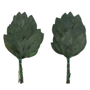  _ vU[uh ~j  20cm i  vU[uht[ ͂Ȃ sv d  t  tFCNt[ tFCNO[ {  䋟 ͂Ȃ  