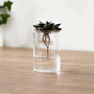 ԕr MINI BULB VASE ͔|KXx[X 8.5cm k͔| i Ԋ KX  t[x[X ֑}  NA O[ ͔| n[u CeA IuWF KX  t[OX 