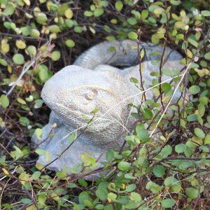 IuWF fR[ ZgIuWF gJQ L i u Ƃ Zg IuWF I[ig K[fI[ig  CeA G O K[fG ^ Aj} jy39Vbvz