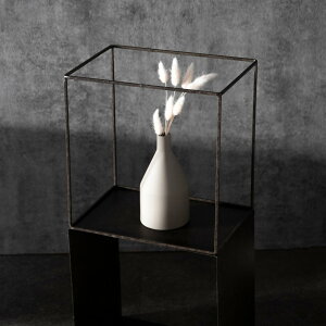 t[ WZtACAt[ XNGA 30×20×30cm i fBXvC I t[bN  ACAt[    u A ϗtA  | [I [ CeA 