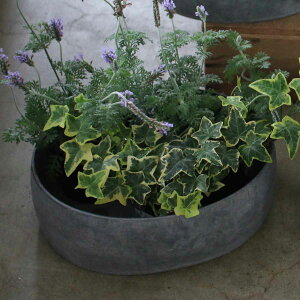  uLv^[ I[o L i Aؔ v^[ vg|bg Ap|bg Jo[ uL A  hCt[ ϗtA A | CeA uL ȉ~ ꌊ jy39