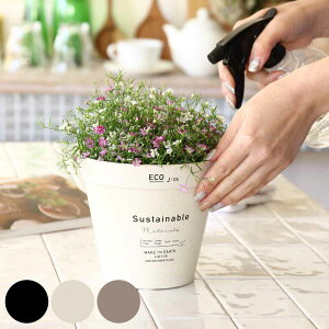 植木 花 プランターの人気商品 通販 価格比較 価格 Com
