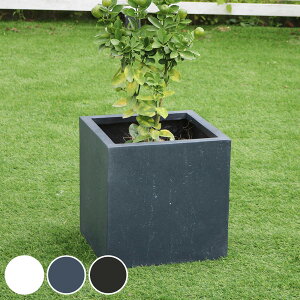 v^[ }OlVAv^[ eNX`[ p^ 36cm i v^[Jo[ XNGA Aؔ  ꌊ O O ƒ؉ 񂹐A  |bg Jo[ _ ze A  