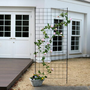 フェンス アイアンフェンス 高さ226cm グラフシリーズ ( ガーデンフェンス インテリア ガーデニング雑貨 アンティーク おしゃれ ガーデニング スチール ディスプレイ オブジェ 置物 庭 ガー