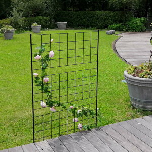 フェンス アイアンフェンス 高さ176cm グラフシリーズ 2枚組 ( ガーデンフェンス インテリア ガーデニング雑貨 アンティーク おしゃれ ガーデニング スチール ディスプレイ オブジェ 置物 庭