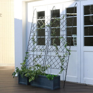 O[J[e ACAO[J[e A[KC 2g i O[tFX O[ J[e tFX K[ftFX  K[fjO X`[ ΂̃J[e  K[