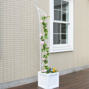 K[fA[` ACAn[tA[` i A[` n[t SA[`  [YA[` oRj[A[` K[fjO ډB  Ȉ ACA KNA[` o ԗ ԑ 