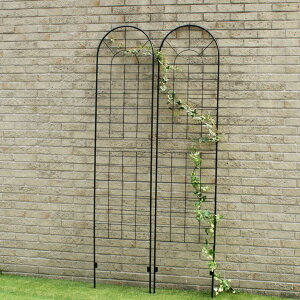 フェンス アイアンフェンス ハイタイプ 高さ221cm 2枚組 ( ガーデンフェンス インテリア ガーデニング雑貨 アンティーク おしゃれ ガーデニング アイアン 鉄 ディスプレイ オブジェ 置物 庭