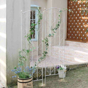 tFX ueB[N zCgACAgX 147cm 4g i O[tFX O[ J[e K[ftFX v^[ K[fjO X`[ ΂̃J[e  K[f