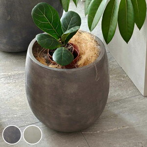 v^[ Obe ΒFRPv^[ 30cm hbv^ i v^[Jo[ Eh Aؔ  ꌊ O O ƒ؉ 񂹐A  |bg Jo[ A  ی^ ~^ ^v