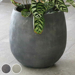 v^[ Obe ΒFRPv^[ 42cm hbv^ i v^[Jo[ Eh Aؔ  ꌊ O O ƒ؉ 񂹐A  |bg Jo[ A  ی^ ~^ ^v